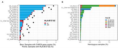 High population frequencies of MICA copy number variations originate from independent recombination events